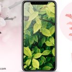 Aplicativos-de-Plantas