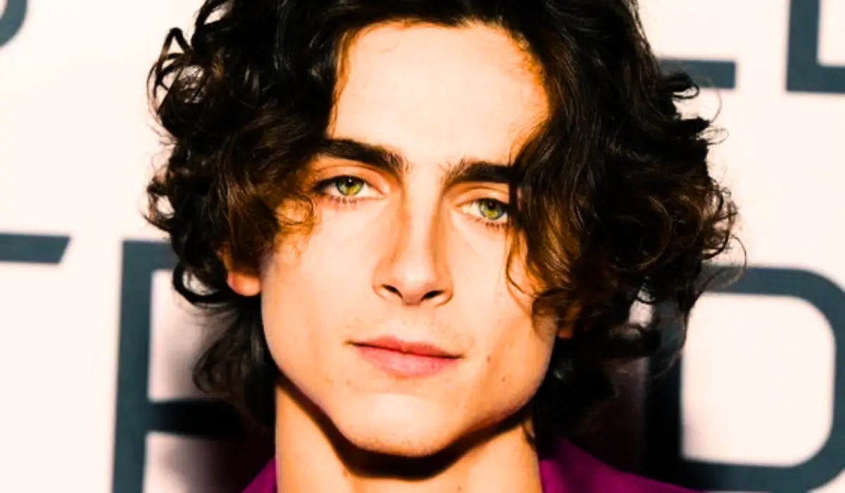 timothee-chalamet.webp